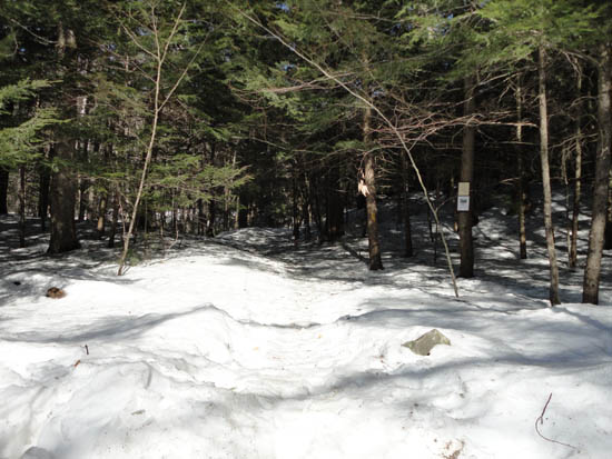 The Rattlesnake Mountain Trail trailhead on off Buffalo Road