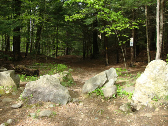 The Rattlesnake Mountain Trail trailhead on off Buffalo Road