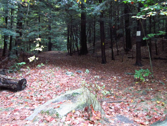 The Rattlesnake Mountain Trail trailhead on off Buffalo Road