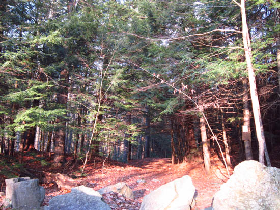 The Rattlesnake Mountain Trail trailhead on off Buffalo Road