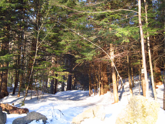 The Rattlesnake Mountain Trail trailhead on off Buffalo Road