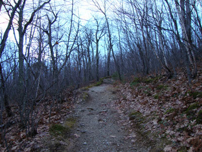 Looking up the Red Hill Trail