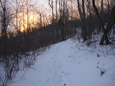 Looking up the Red Hill Trail