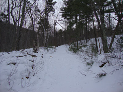 Looking up the Red Hill Trail