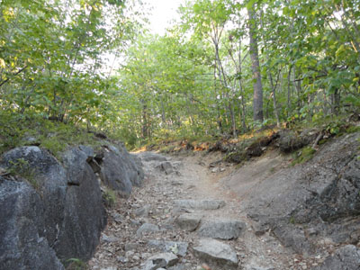 Looking up the Red Hill Trail