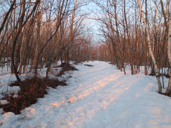 Looking up the Red Hill Trail