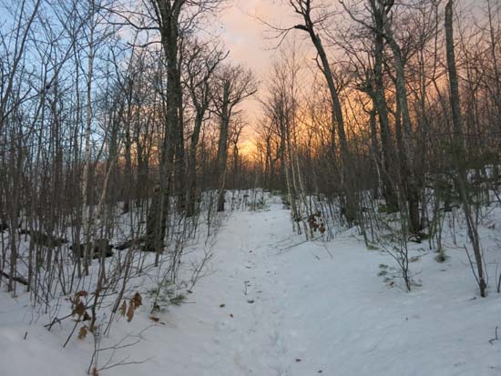 Looking up the Red Hill Trail