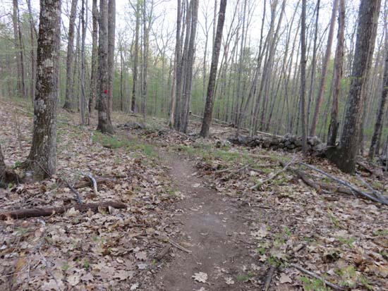 The new lower Red Hill Trail