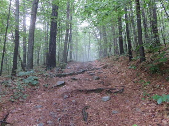 The Red Hill Trail