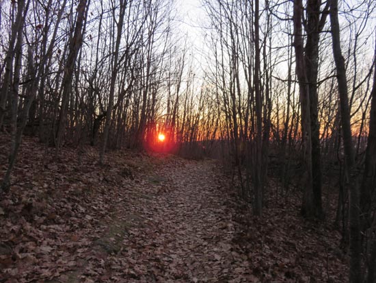 The Red Hill Trail