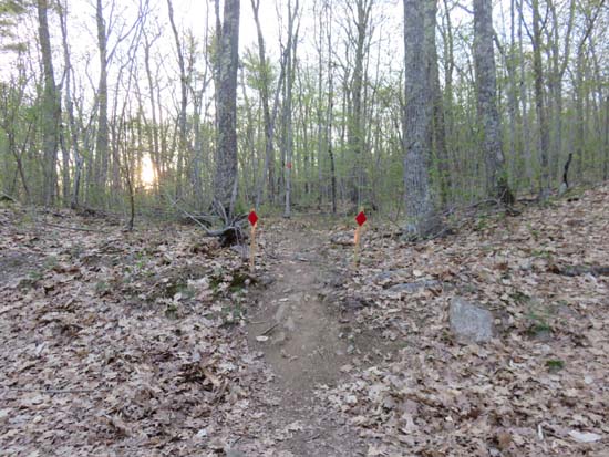 The new Red Hill Trail trailhead