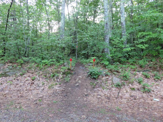 The new Red Hill Trail trailhead