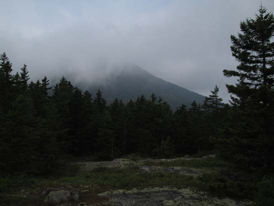 Foggy views toward Kearsarge North from near the summit of Rickers Knoll - Click to enlarge