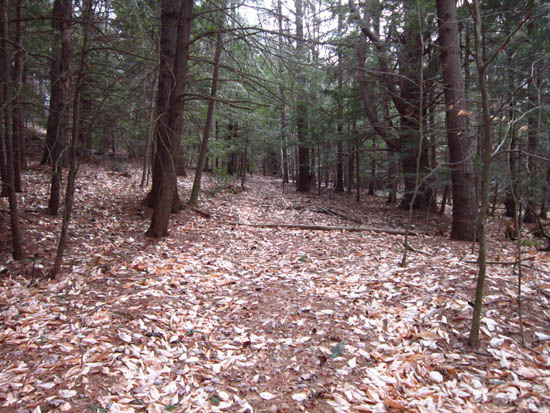 The old road on the way to Roundtop