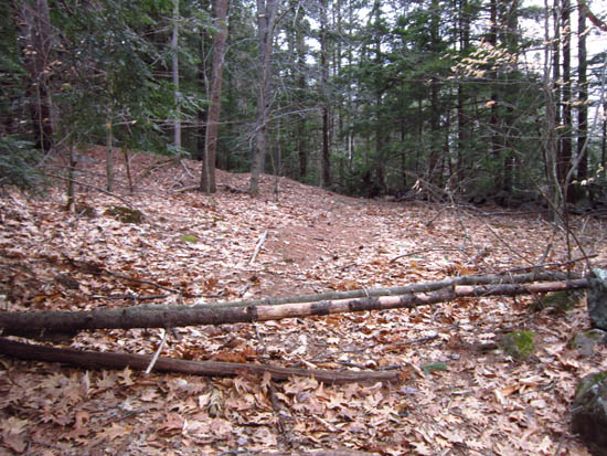 The start of the herd path on New Chester Mountain Road