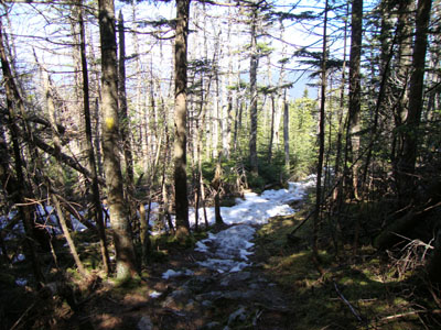 Looking down the Sandwich Mountain Trail on the way to Sandwich Mountain