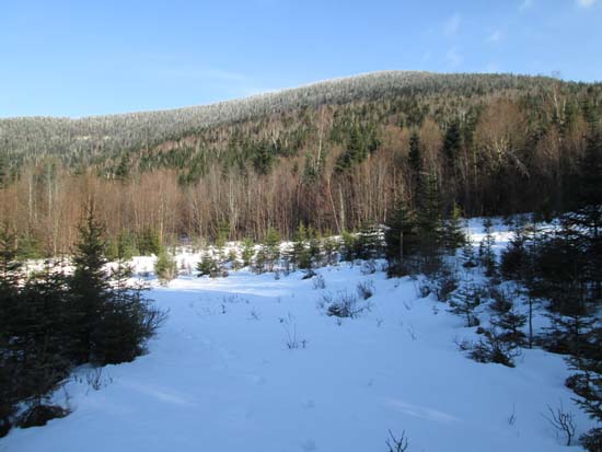 Looking at Savage just prior to leaving the logging road