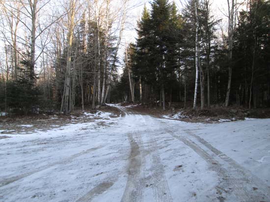 The second logging landing on Lamms Trail