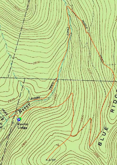 Topographic map of Sayre Peak