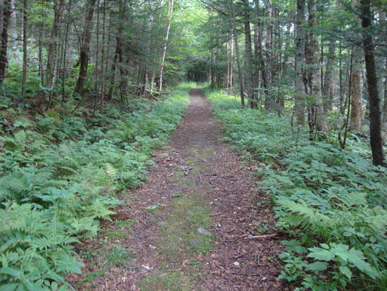 The Al Merrill Loop