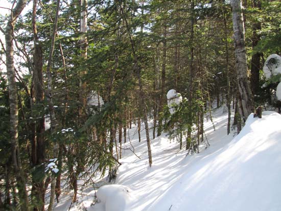 Bushwhacking between Middle and East
