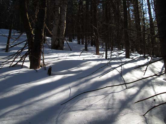 Bushwhacking between East West Peak and Middle Peak
