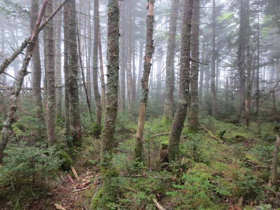 Scar Ridge West Peak - Click to enlarge