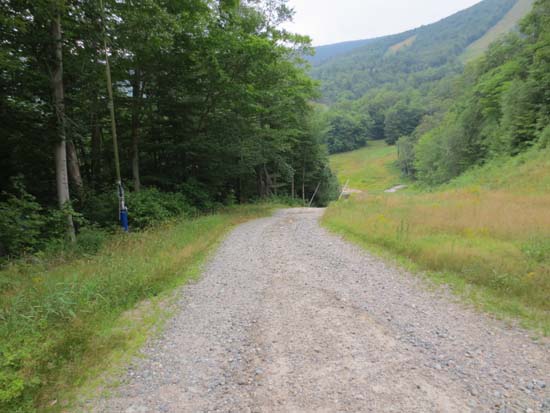 Looking down the access road