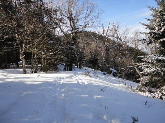 Following the ridge to Scaur Peak from the Pine Bend Brook Trail
