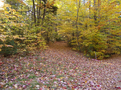 The Mountain Trail trailhead