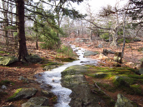 The upper Harriskat Trail