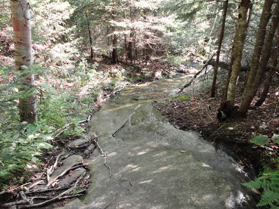 Looking down the Ranger Trail