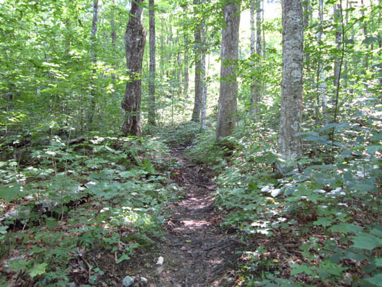 The J Trail