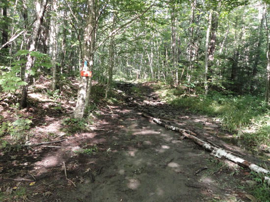The Ranger Trail trailhead