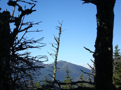 An example of what can be seen through the trees from the South Carter Mountain summit - Click to enlarge