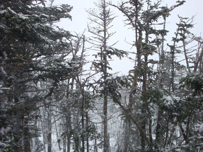 Usually not much to see from South Carter - especially the case in a snow storm! - Click to enlarge