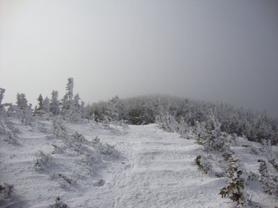 The Carter-Moriah Trail between South and Middle Carter