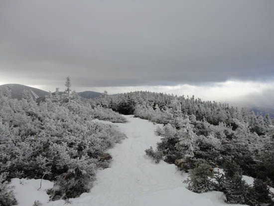 The Carter-Moriah Trail between South and Middle Carter