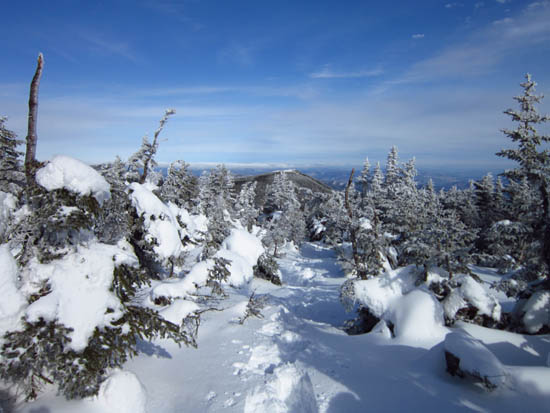 The Carter-Moriah Trail leaving Carter Dome