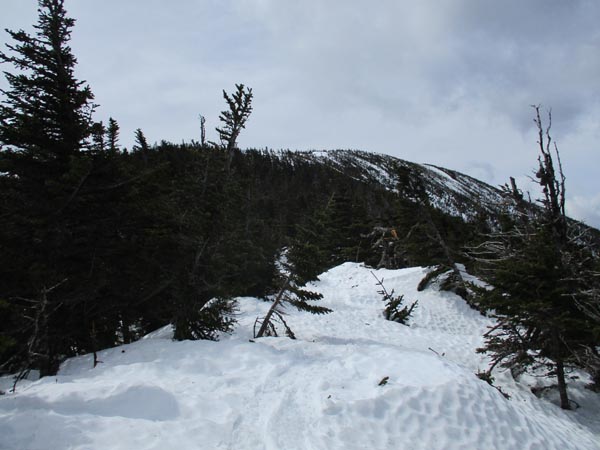 The Carter-Moriah Trail between Carter Dome and South Carter