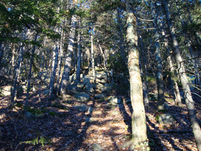 Looking up the New Path