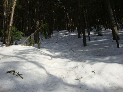 Looking up the Old Path on the way to South Doublehead