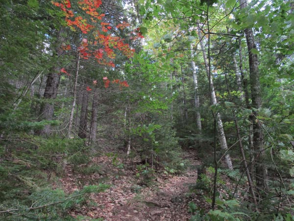 Looking up the Old Path on the way to South Doublehead