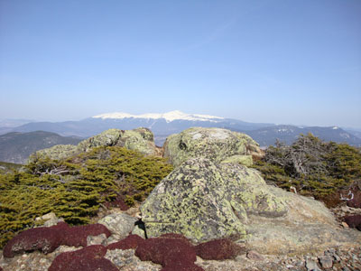 Looking at Mt. Washington from South Twin - Click to enlarge