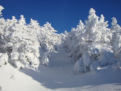 Looking up Twinway to South Twin Mountain