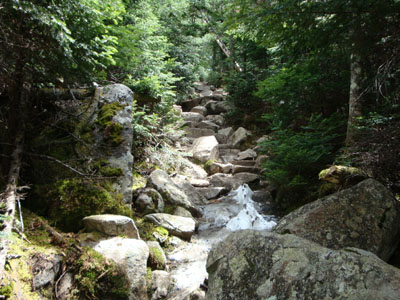 Looking up Twinway to South Twin Mountain