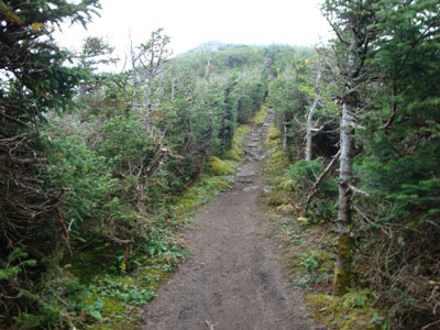 The North Twin Spur
