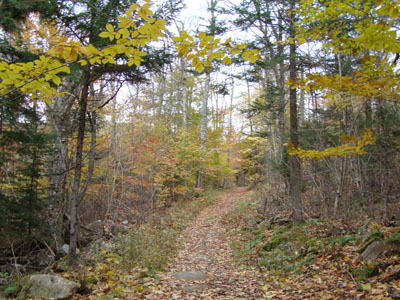 The Stinson Mountain Trail