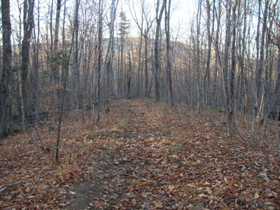 Looking down the Stinson Mountain Trail
