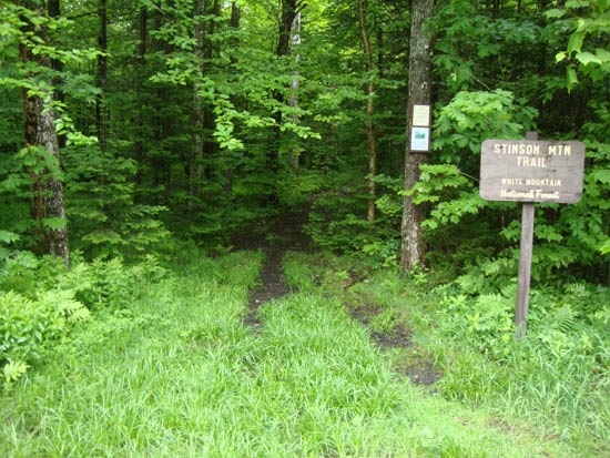 The Stinson Mountain Trail trailhead on Doetown Road